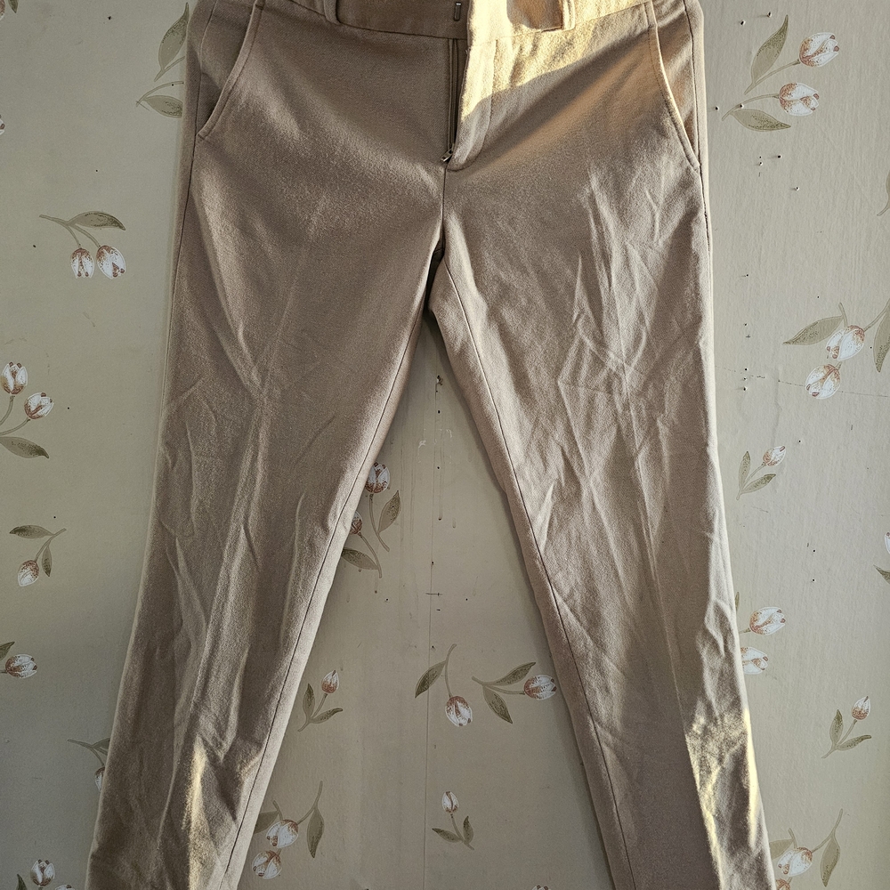 Banana Republic Light Brown Chinos